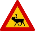 A11.38Rentiere