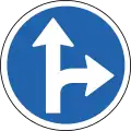 C01.31Vorgeschriebene Fahrtrichtung – geradeaus und rechts