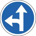 C01.32Vorgeschriebene Fahrtrichtung – geradeaus und rechts