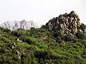 Der Monte Ortobene