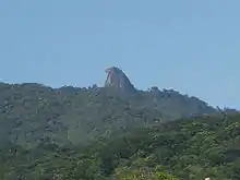Pico do Papagaio