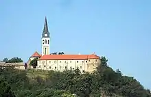 Burg oberhalb von Ilok
