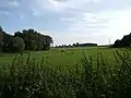 Blick auf den Buchenhain Im Dohrn von Nordosten.
