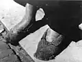 Hungerwinter (1944–1945)