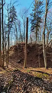 Blick auf Burghügel und Halsgraben
