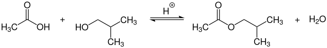 Säurekatalysierte Veresterung von Essigsäure mit Isobutanol zu Isobutylacetat und Wasser