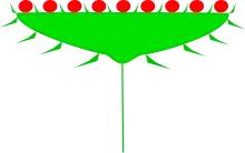Korb