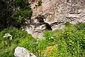 Eingang der Grotte
