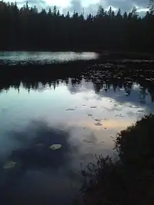 Inner-Abborrtjärnen