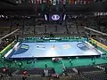 Vor dem Endspiel der Handball-Weltmeisterschaft der Männer 2013