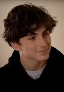 Timothée Chalamet (2019)