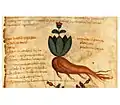 Pseudo-Apuleius  Kassel 9. Jahrhundert