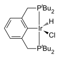 Iridium-PCP-Pincer-Komplex