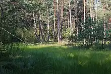 Irlhamer Moos