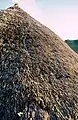 Reetdach (thatched roof), Hampshire, UK