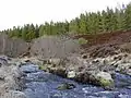 Kleine Flussinsel im Skiack