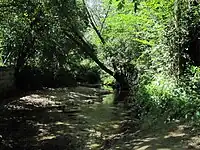 Der Hozain in Isle-Aumont