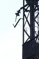 Isolator am nördlicher Mast des östlichen Führungsseils