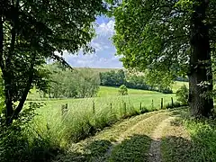 Ispingrader Bachtal