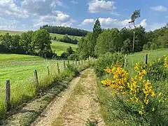 Ispringrader Bachtal
