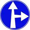 201  Vorgeschriebene Fahrtrichtung – geradeaus oder rechts