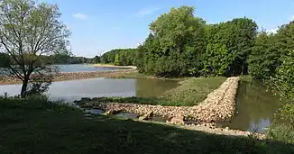 Mündung des Jöllenbecker Mühlenbaches („Jölle“, untere Bildhälfte) in den Johannisbach im September 2009
