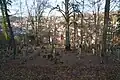 Der jüdische Friedhof, durch die Bäume Blick auf Rexingen