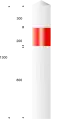 J3: Kreuzung