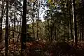 Umgebung Jaberg (Hilden)