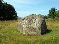 Janum Kjøt