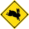 214の2: Wildwechsel (Hasen)