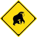 214の2: Wildwechsel (Affen)