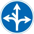 311-E: Verbot des Fahrens außerhalb der vorgesehenen Richtungen (kein Linksabbiegen diagonal nach oben)
