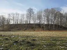 Burgwall Jersika