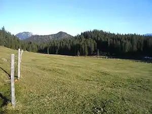Mulde ostwärts der Jocheralm, die den Speichersee aufnehmen sollte