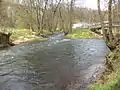 Die Jossamündung