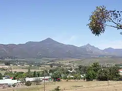 Joubertina mit Peak Formosa