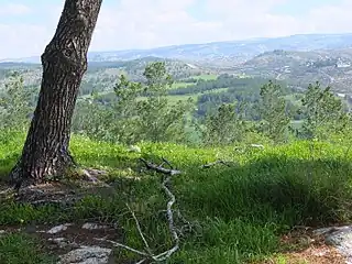 Idylle im Judäischen Bergland mit Blick über Chirbat al-Dayr nah der Grünen Linie, 2018