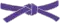 Violetter Gürtel