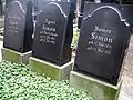 Grabstelle Simon