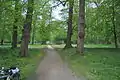 Barocke Hauptachse im Park Juliusruh von 1844