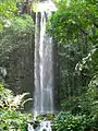 Wasserfall im Jurong Bird Park