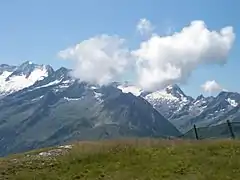 Ausblick im Sommer