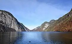 Der Königssee von St. Bartholomä talauswärts gesehen