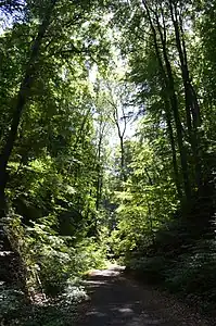 Nachtigallental