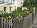 Garten des ehemaliges Hirtenhaus