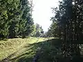 Durch Gørslev Vænge