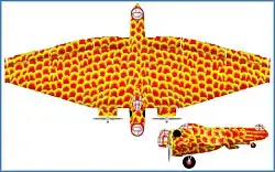 Kalinin K12 „Feuervogel“