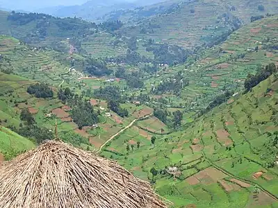 Kabales Landschaft