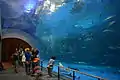 Unterwassertunnel